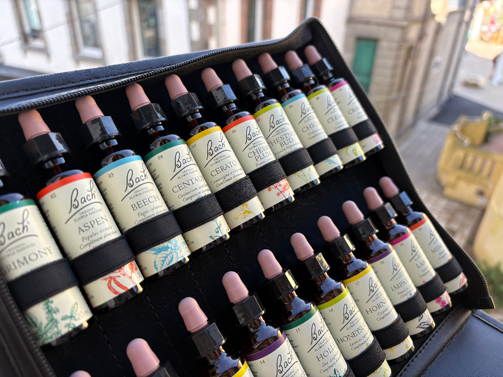 photo activite Inès Hubert