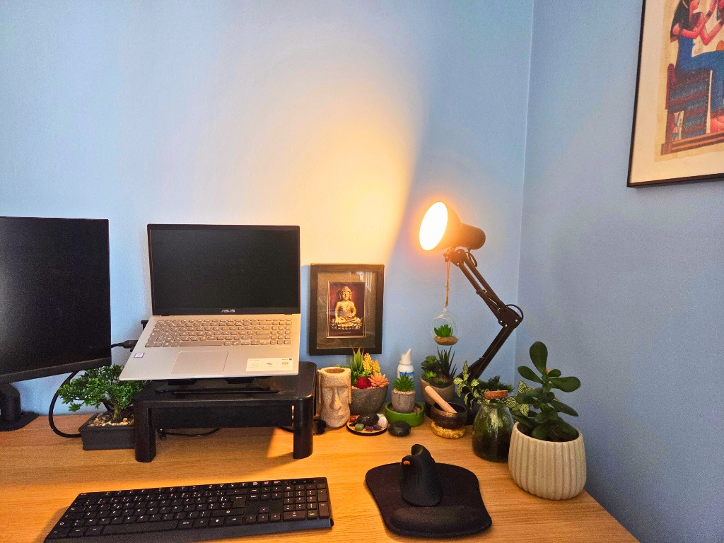 photo cabinet Isabelle Resona