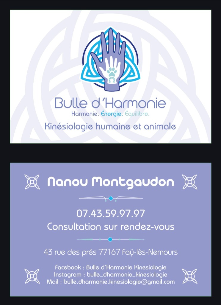 photo cabinet Nanou Montgaudon BULLE D’HARMONIE KINÉSIOLOGIE
