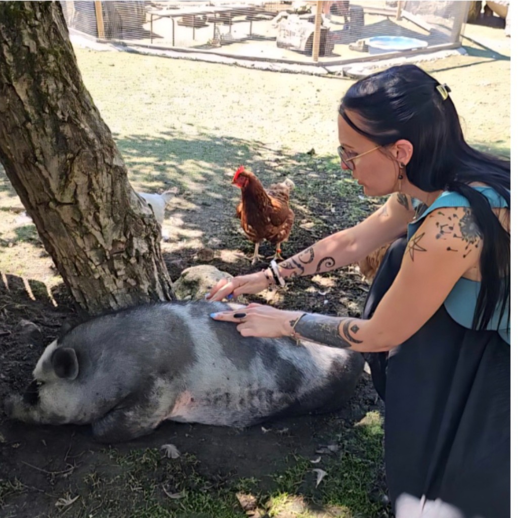 photo seance Nanou Montgaudon BULLE D’HARMONIE KINÉSIOLOGIE