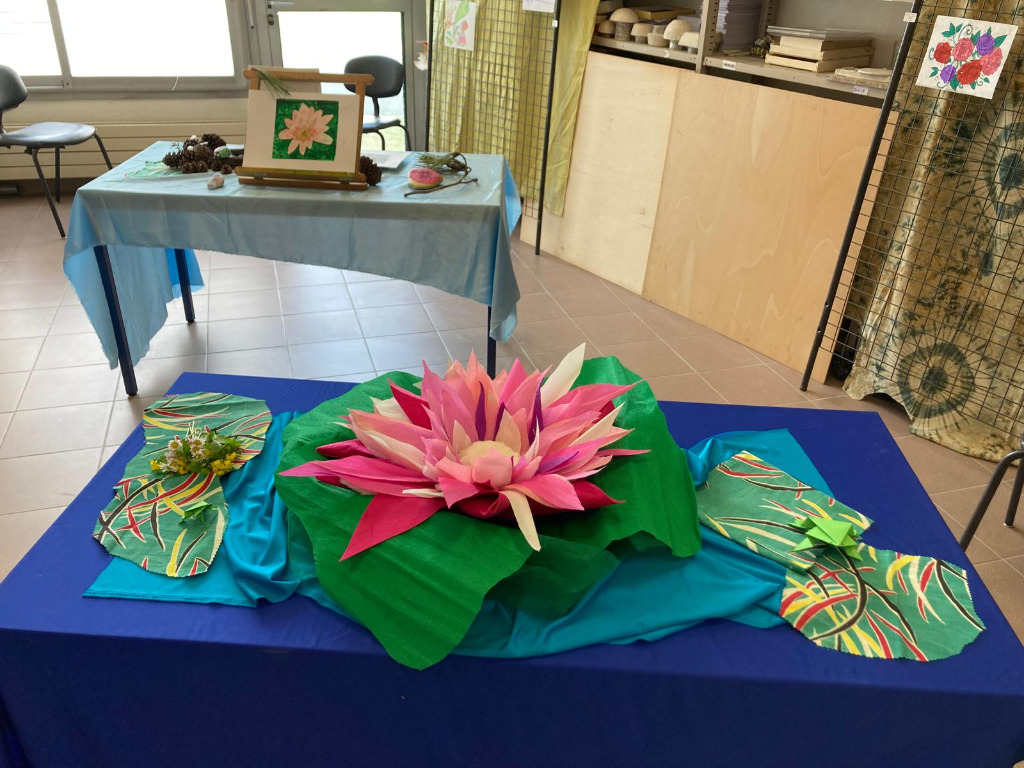 photo activite Delphine Caredda