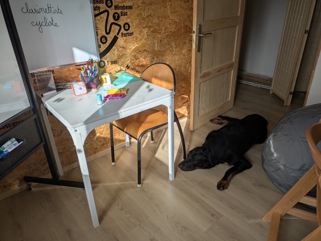 photo activite Emilie Henryon Spillmann Mili2A 