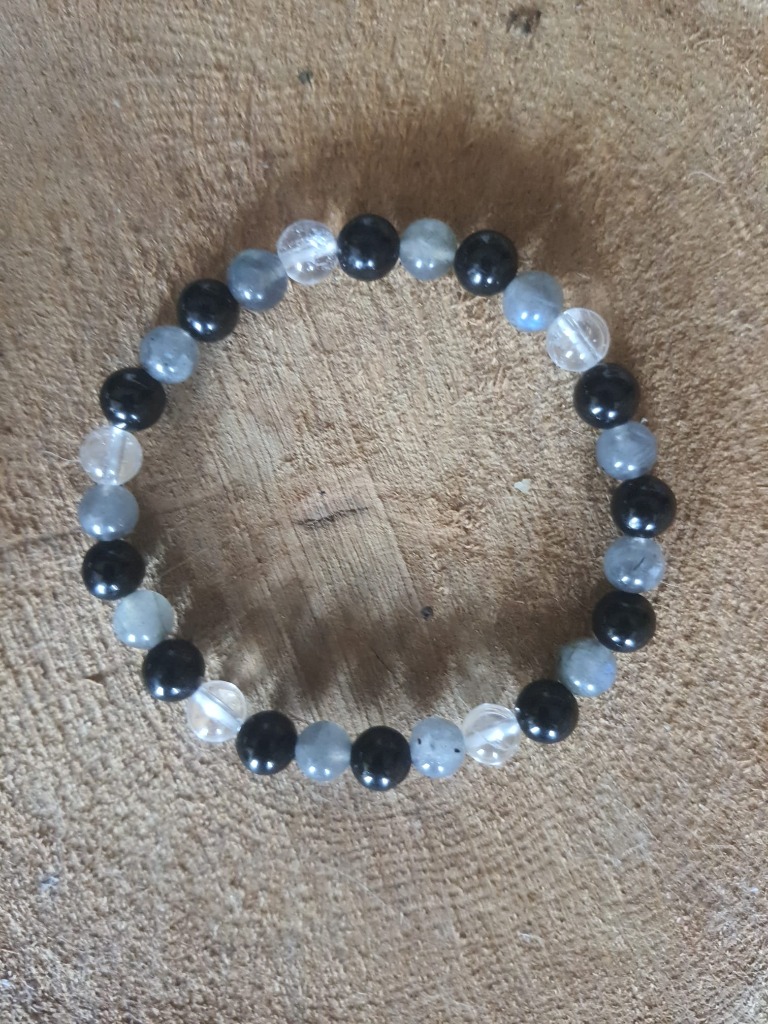 photo activite Anne Louvel - Communication Animale