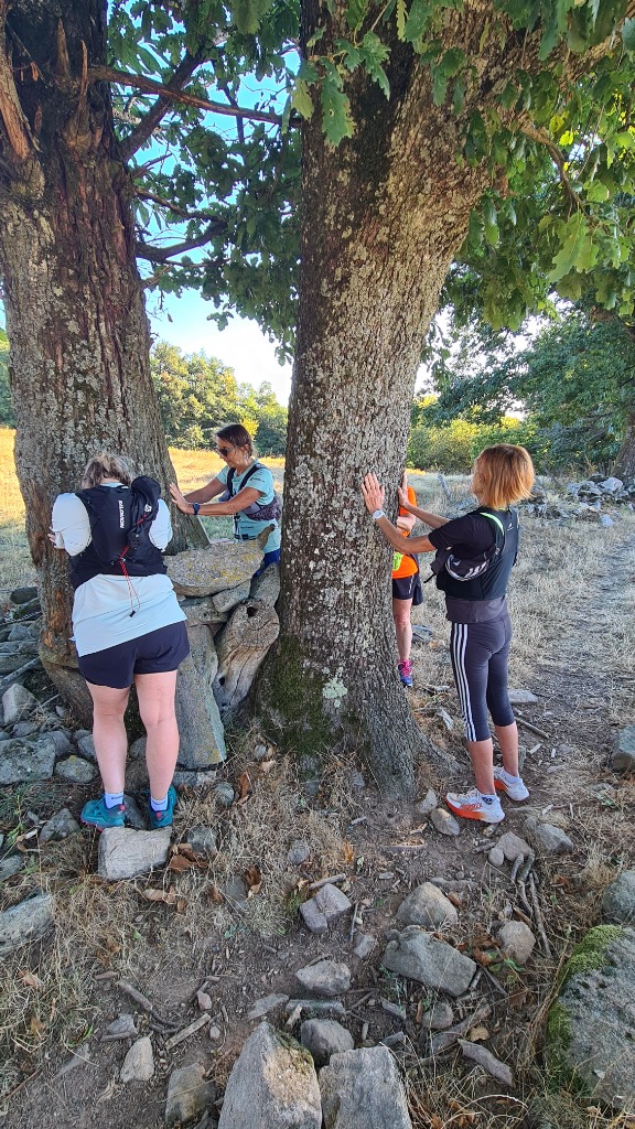 photo activite Angélique PROTTE