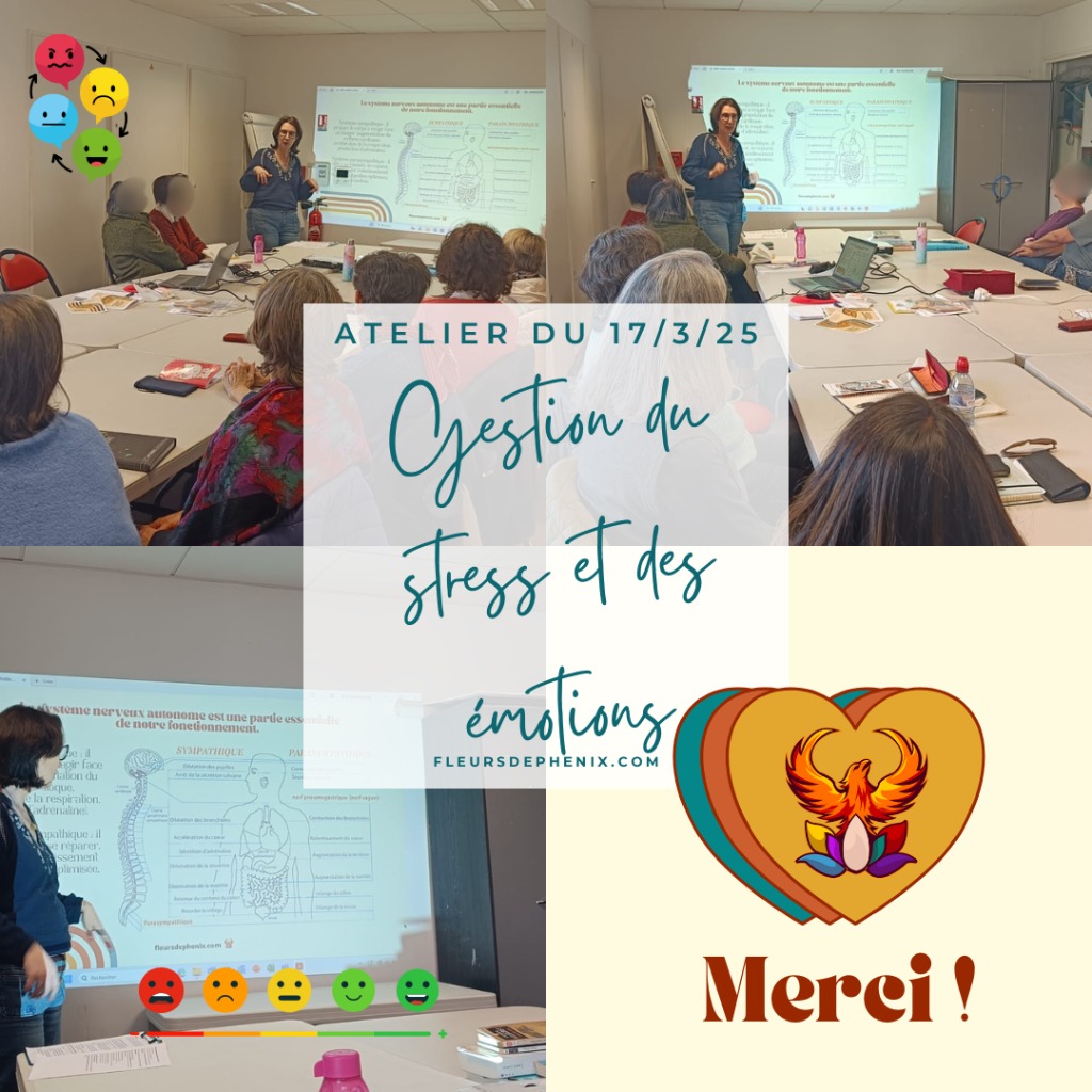 photo activite Cécilia Berton