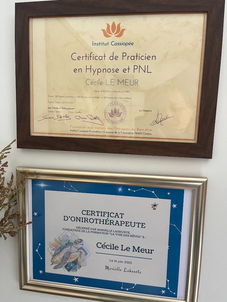 photo diplome CECILE LE MEUR