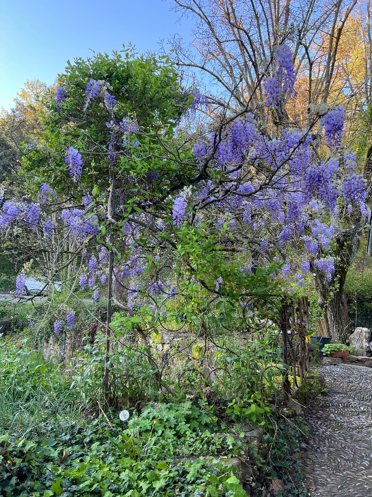 photo cabinet La voie lactée conseils en allaitement