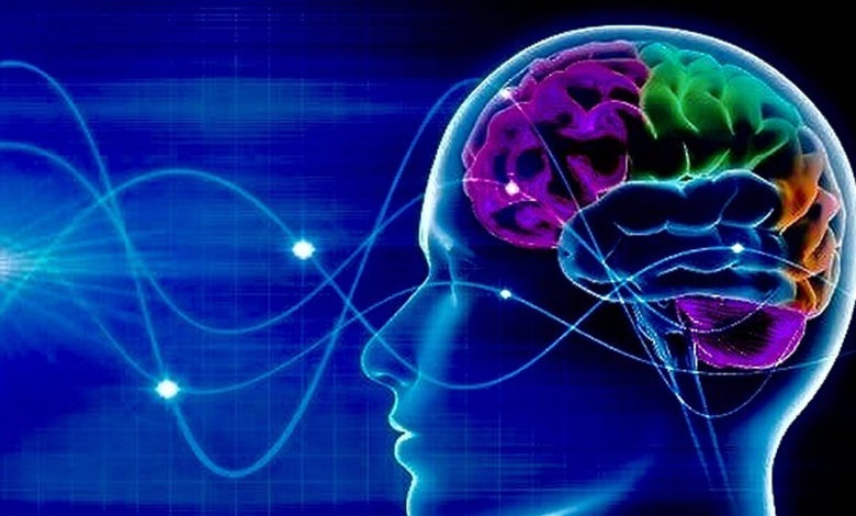 photo seance LM soin énergétique