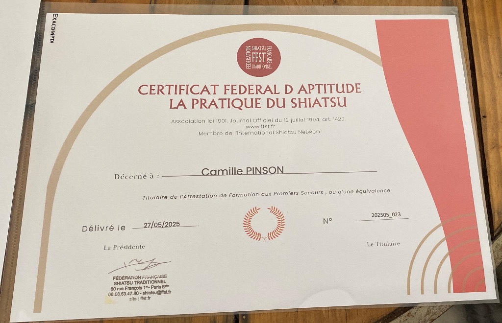 photo diplome Camille Pinson EI