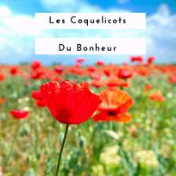 Les Coquelicots Du Bonheur