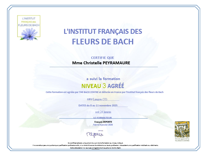 photo diplome Cocoon d’une fleur vers soi