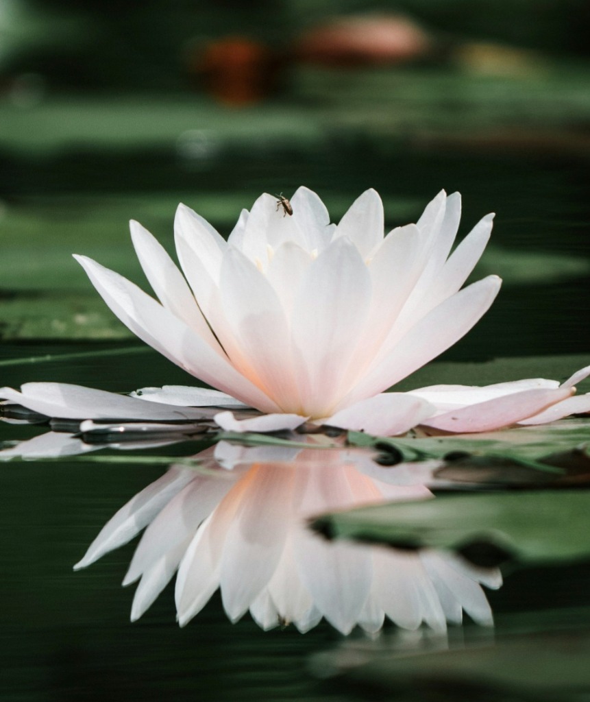 photo portrait Charlotte Boisiaud