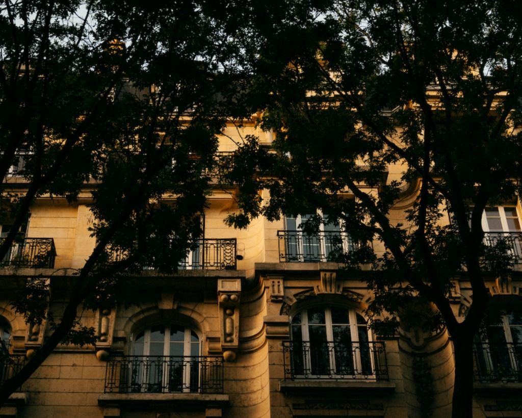 photo cabinet Marianne-Elise Simonot