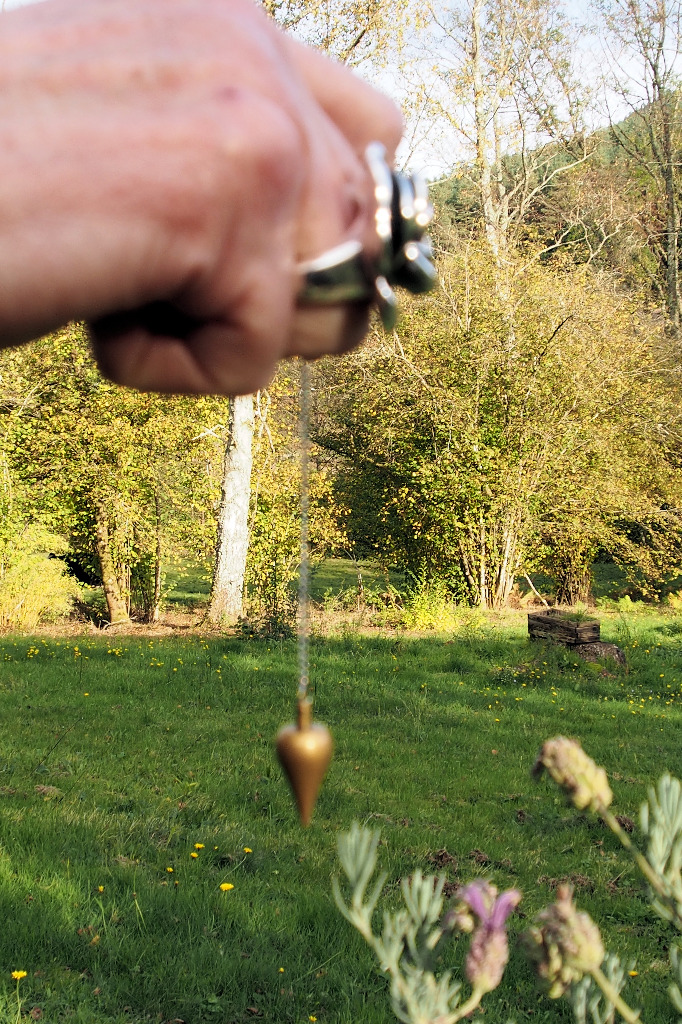 photo activite Michel Fernbach