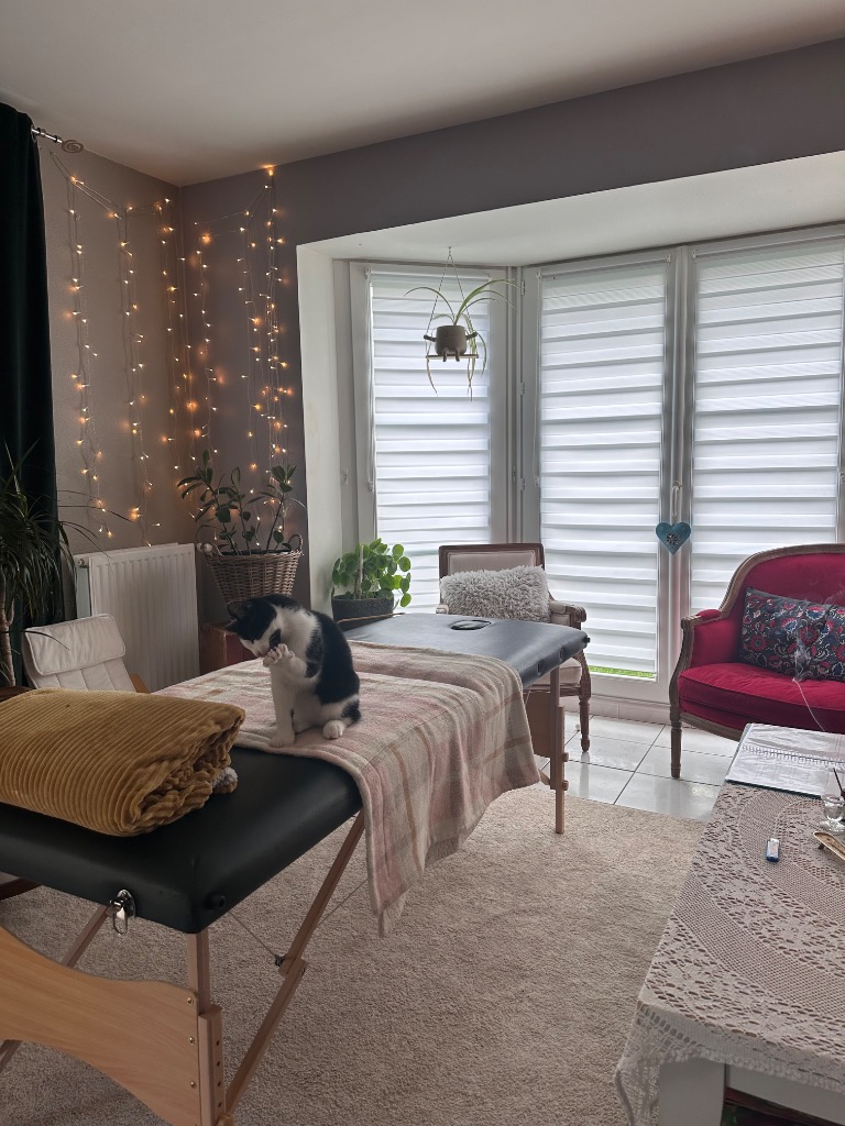 photo cabinet La voie des ondes 