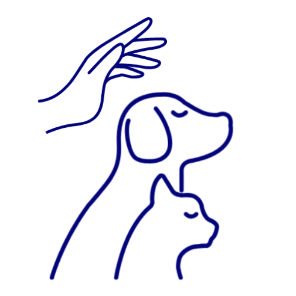 Kinésiologie Animale BZH - Domitille MERCIER