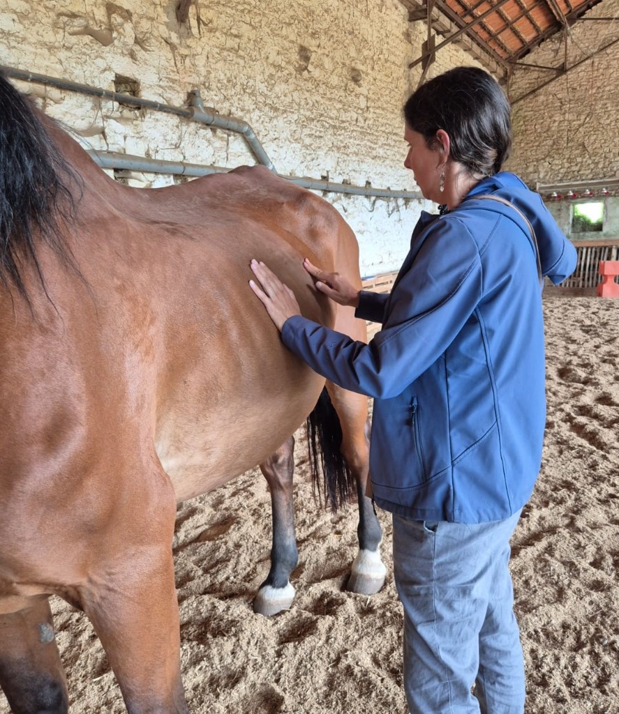 photo activite Domitille Mercier