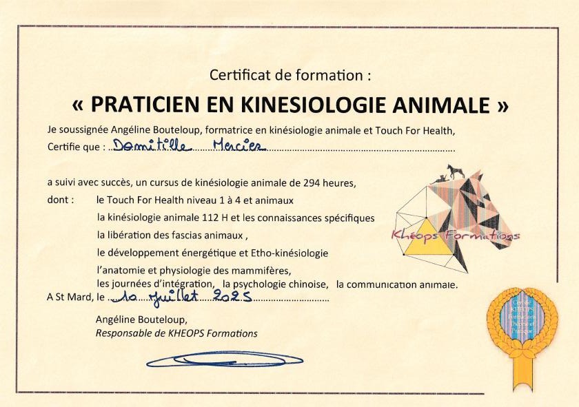 photo diplome Domitille Mercier