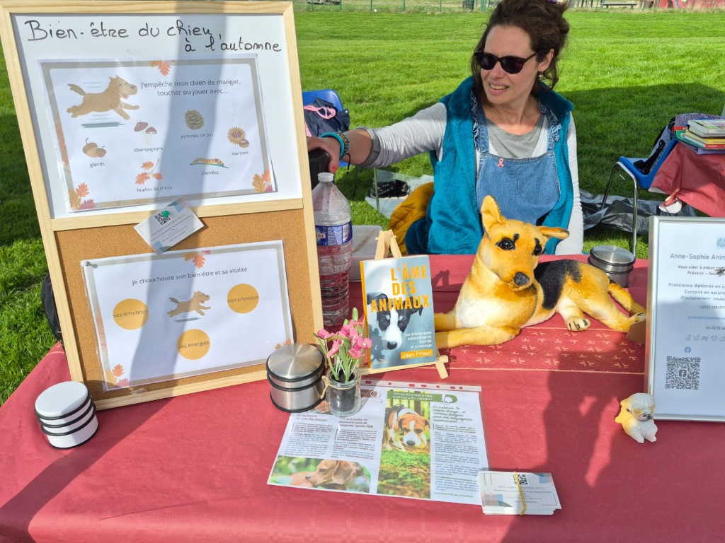 photo activite Anne-Sophie Animal Bien-être