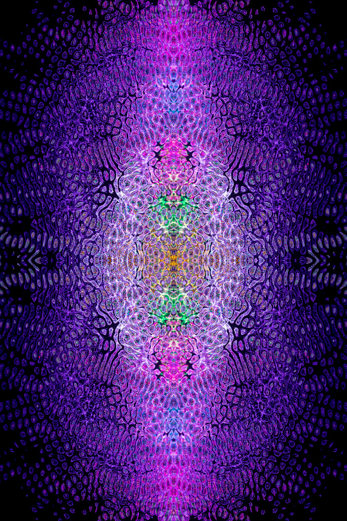 photo portrait Térésa Ribeyron