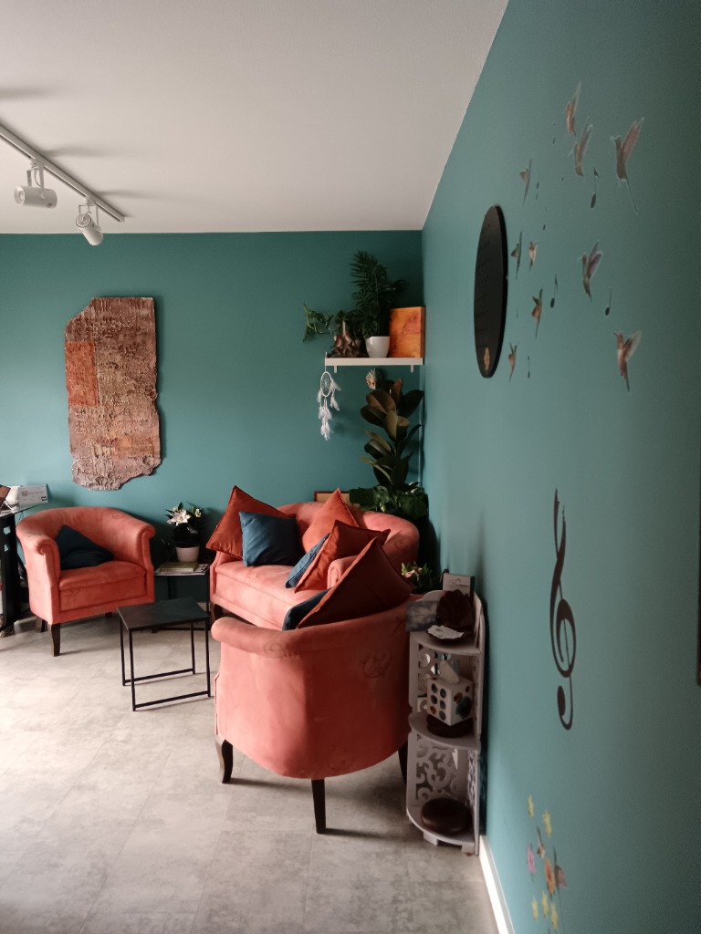 photo cabinet Psychothérapeute systémique 