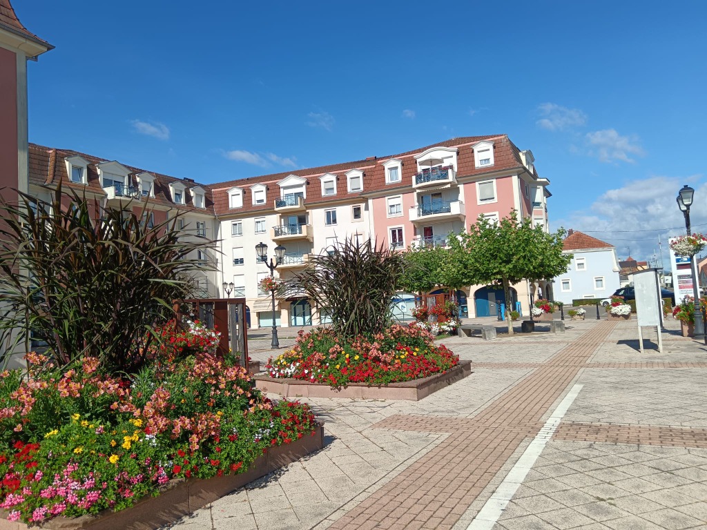 photo portrait Psychothérapeute systémique 