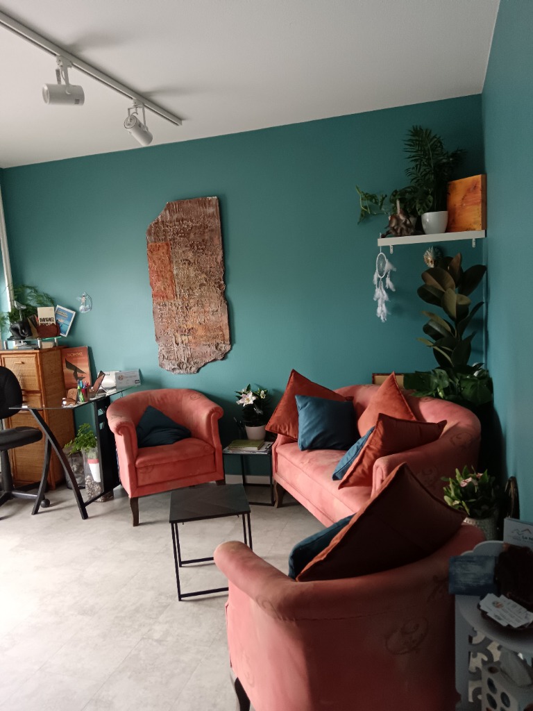 photo seance Psychothérapeute systémique 