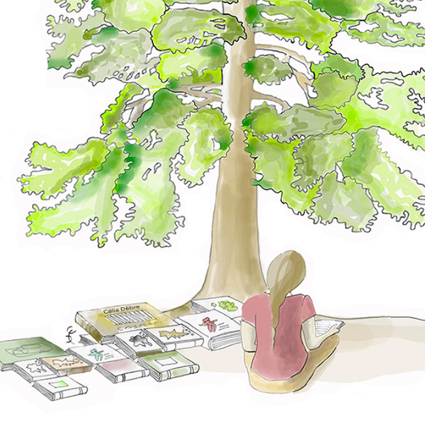 Sonia Keller - Atelier des apprentis sages