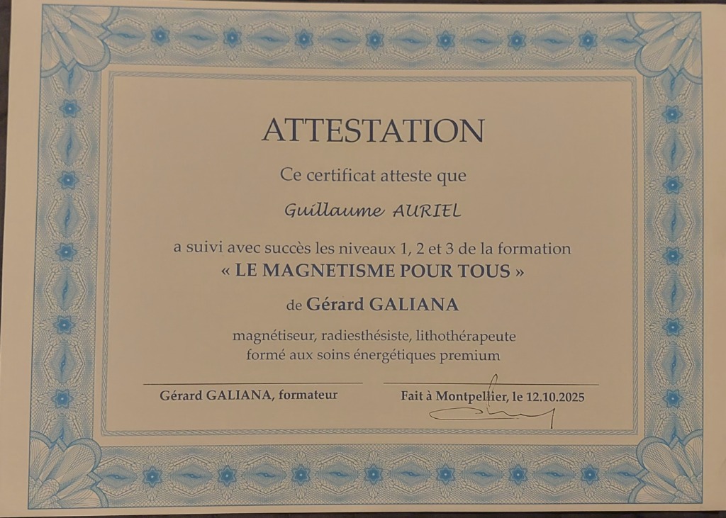 photo diplome Guillaume Auriel