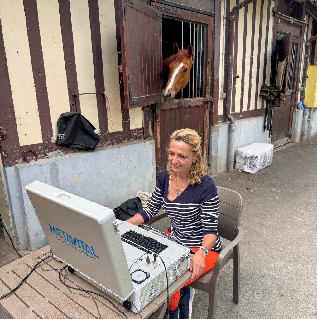 photo activite Corinne DUPEYRAT