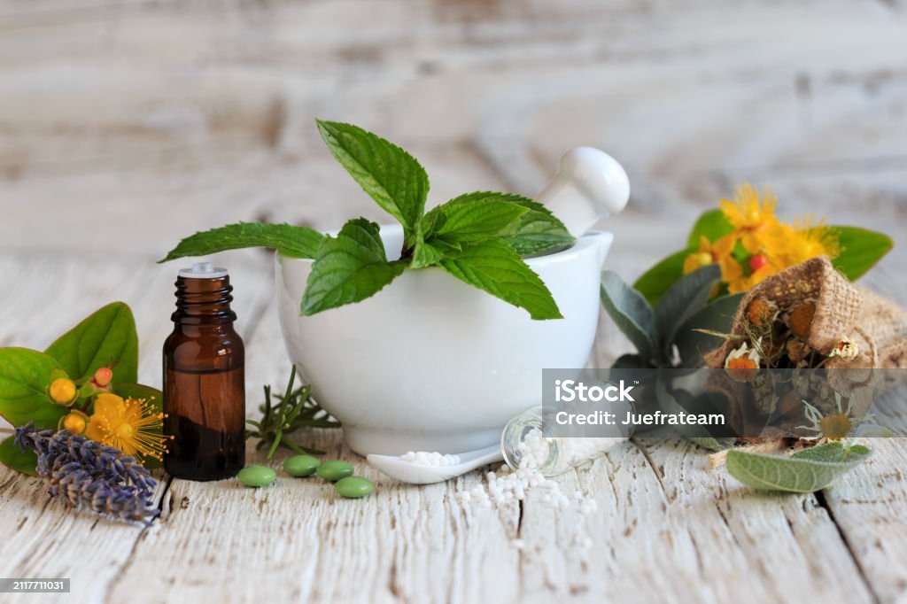 photo activite Constance Bichet