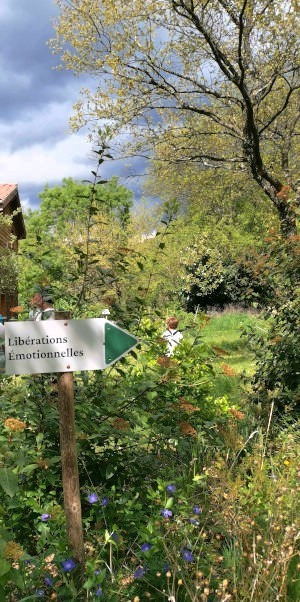 photo cabinet Anne Grisolle - Libérations Émotionnelles