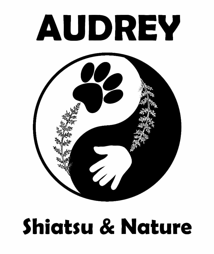 photo activite Audrey Shiatsu & Nature