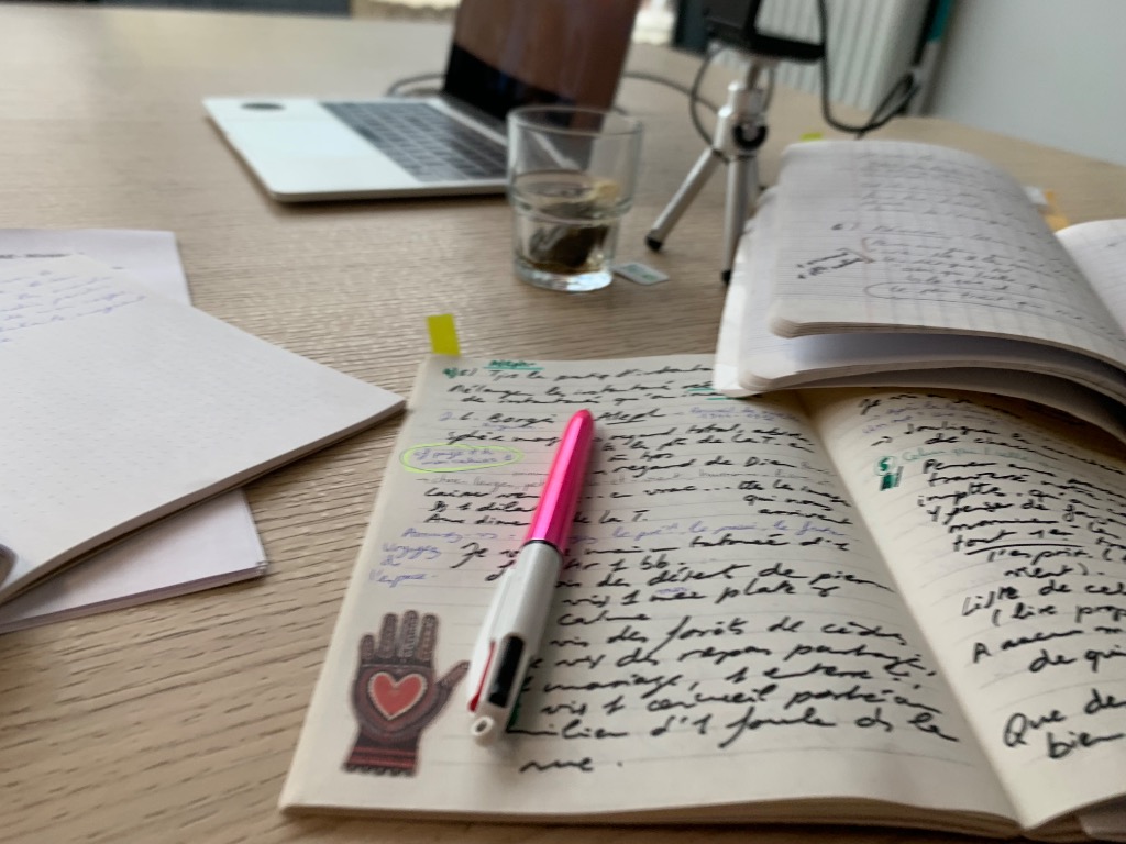 photo activite Virginie Treluyer. Papillons en Fleurs