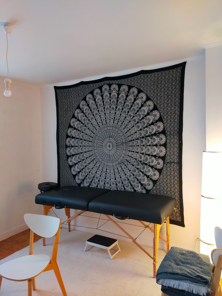 photo cabinet Davy PARIS Médium Magnétiseur