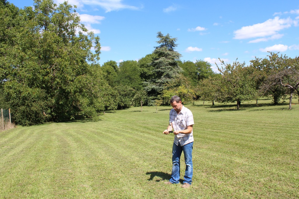 photo activite DAMIEN DOBEL