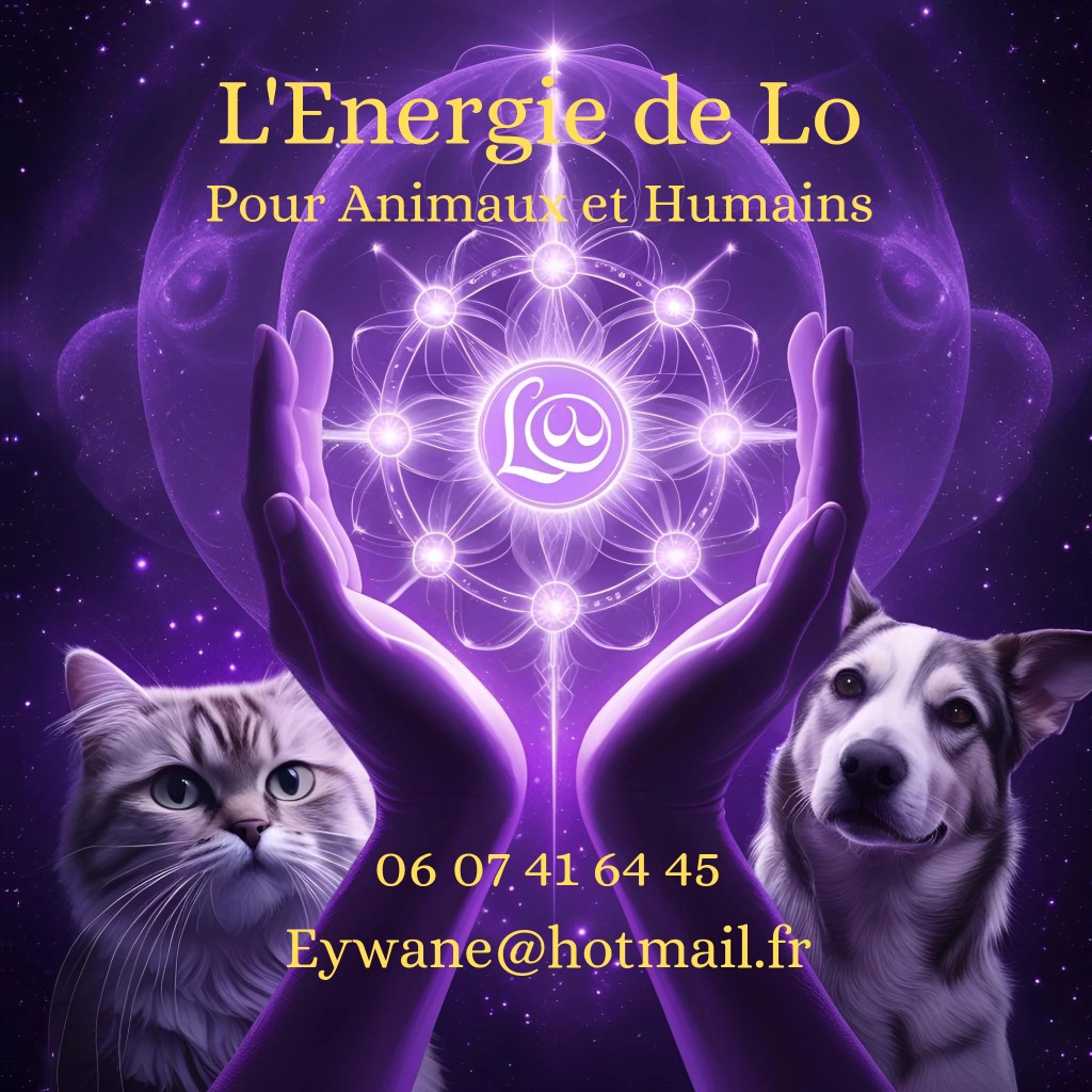 photo activite Laurence Gambeaud