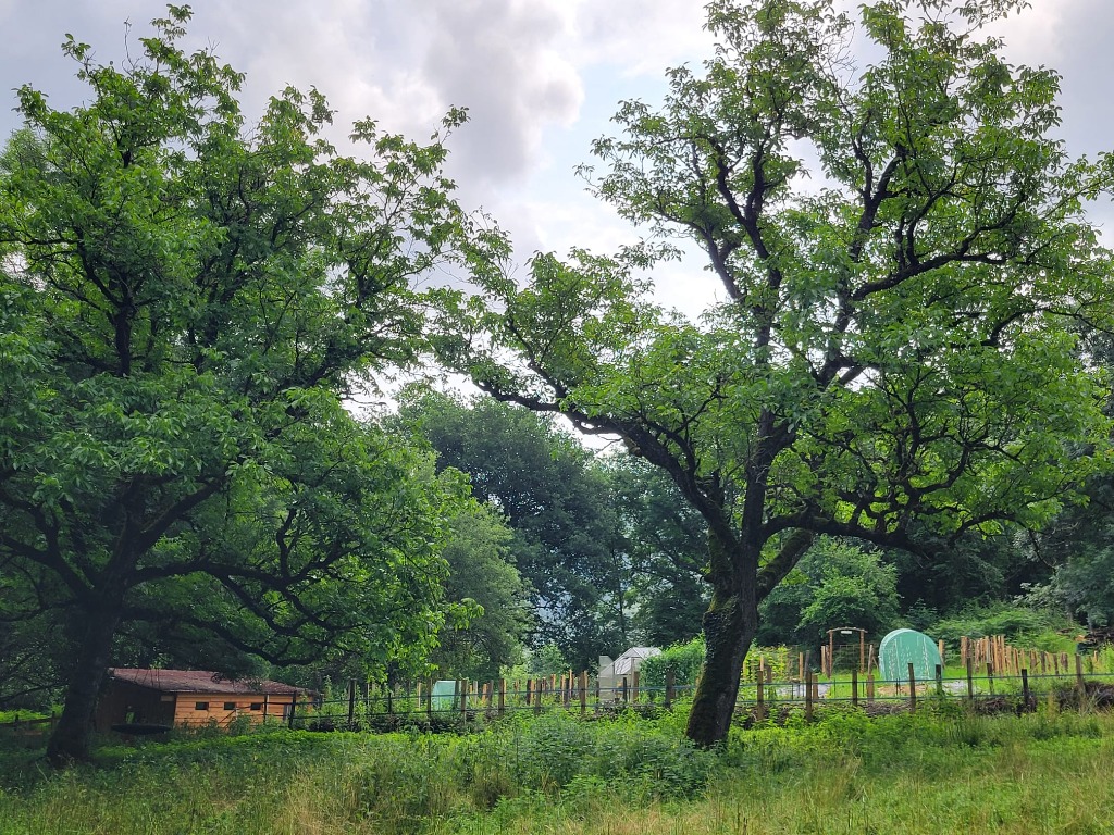 photo activite Sarah RICROS-RUIZ