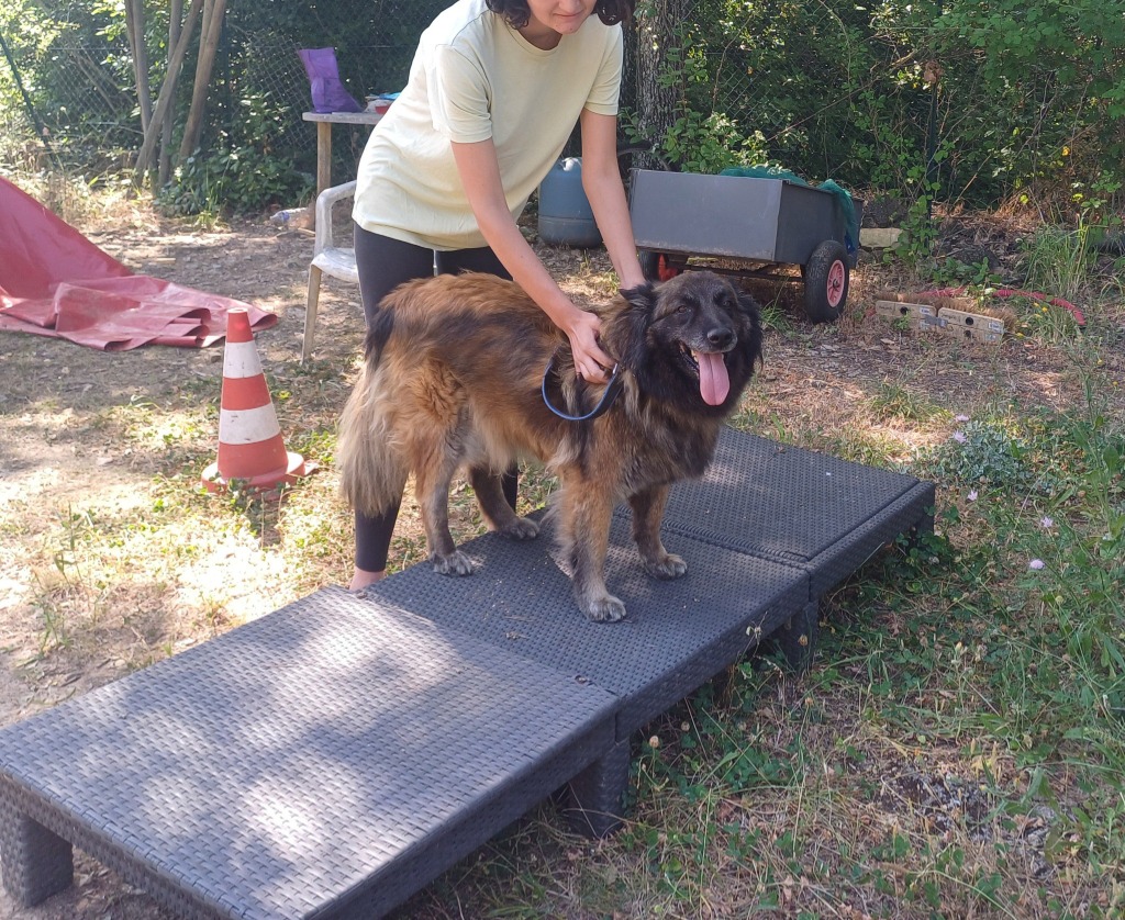 photo seance Candy Pelay Monnier Candy Coach