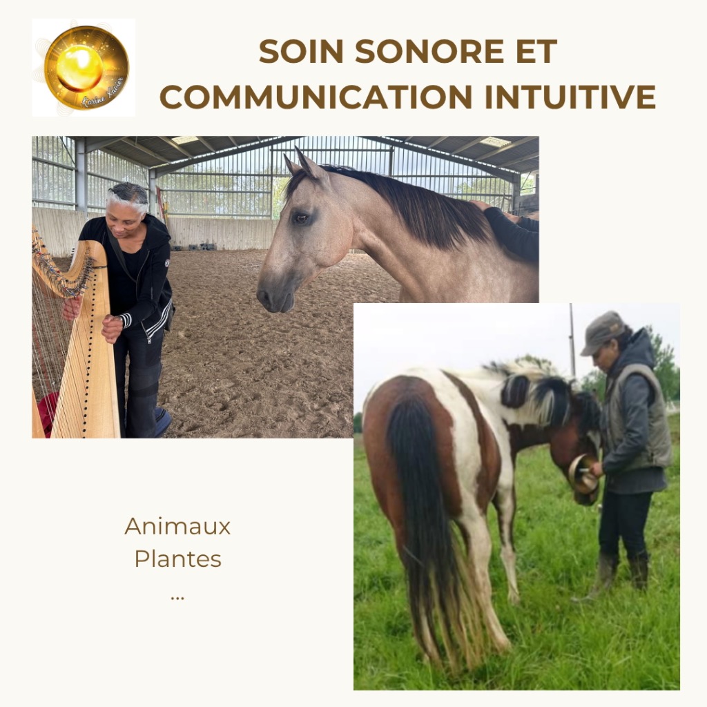 photo seance Karine Xavier 