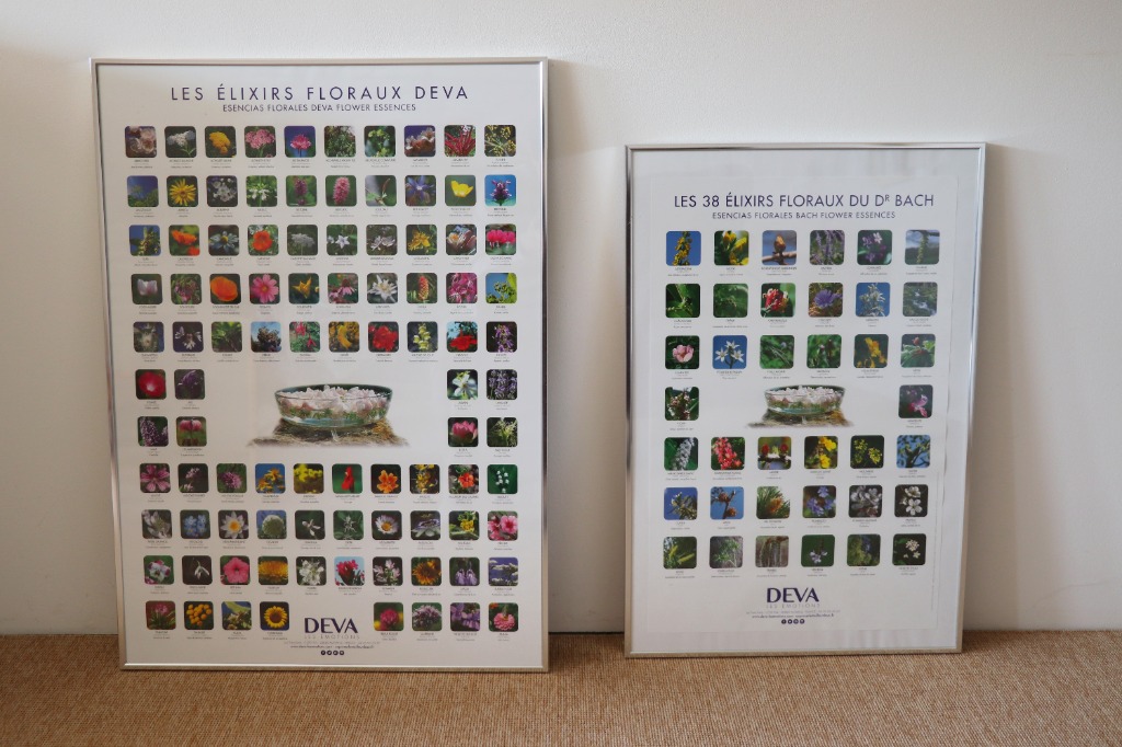 photo activite Élisabeth ansart 