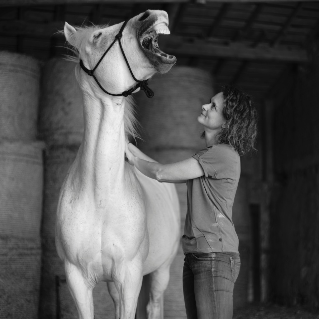 photo cabinet Iris Lobecke