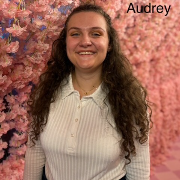 Audrey MALET - Cabinet de psychomotricité Le Pecq