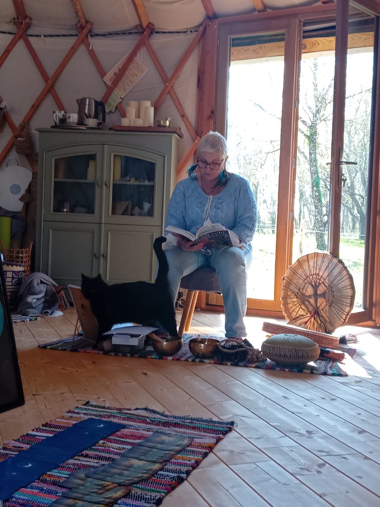 photo activite Dorothee JOLY