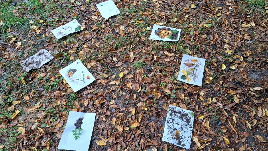 photo activite Aurore Kaddour