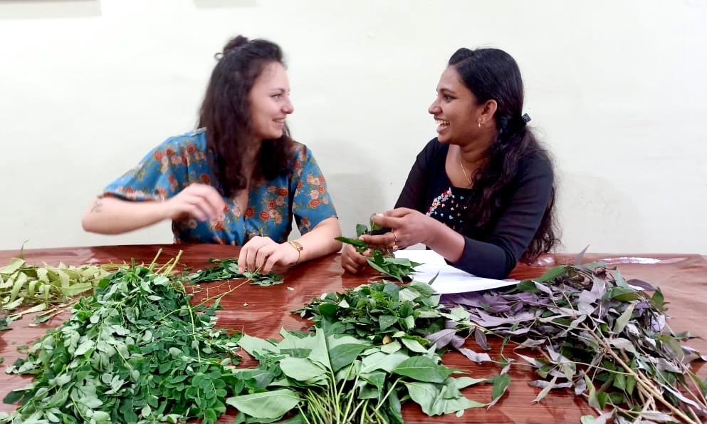 photo activite Pranamaya Yoga Ayurveda par Marine Henry