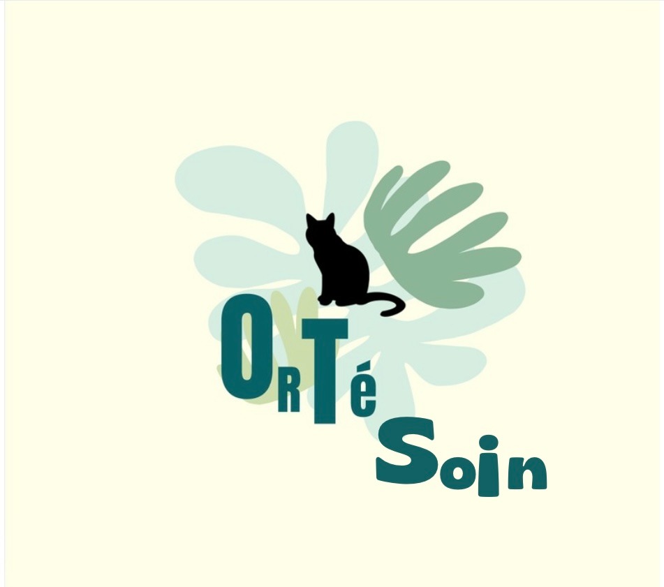 photo cabinet Tarde Aurore