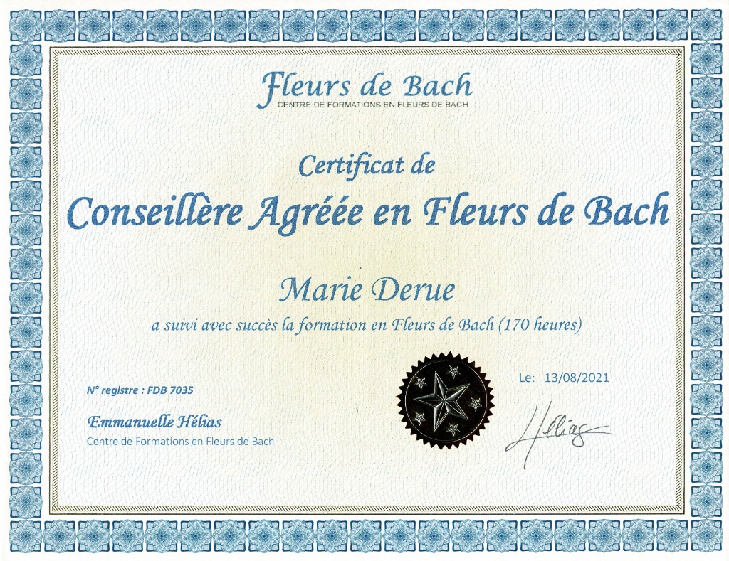 photo activite Marie Derue