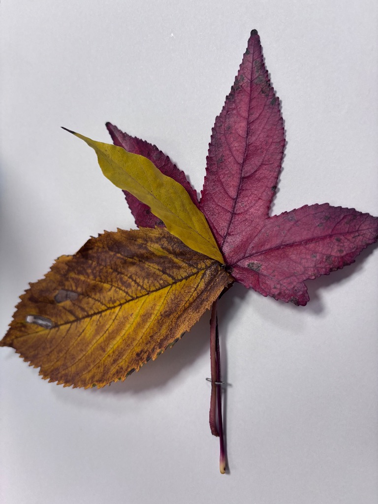 photo seance Chemin des couleurs