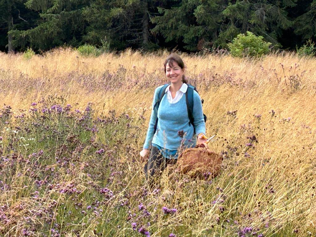 photo activite Herbopolis